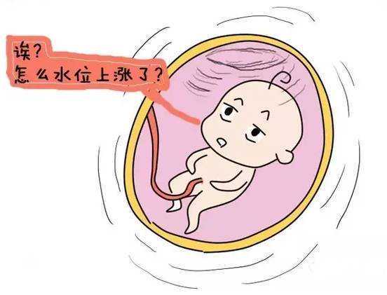代怀生机构地址_做试管代怀要检查,从不孕不育到试管婴儿，相因伴您好孕